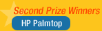 Second Prize Winner